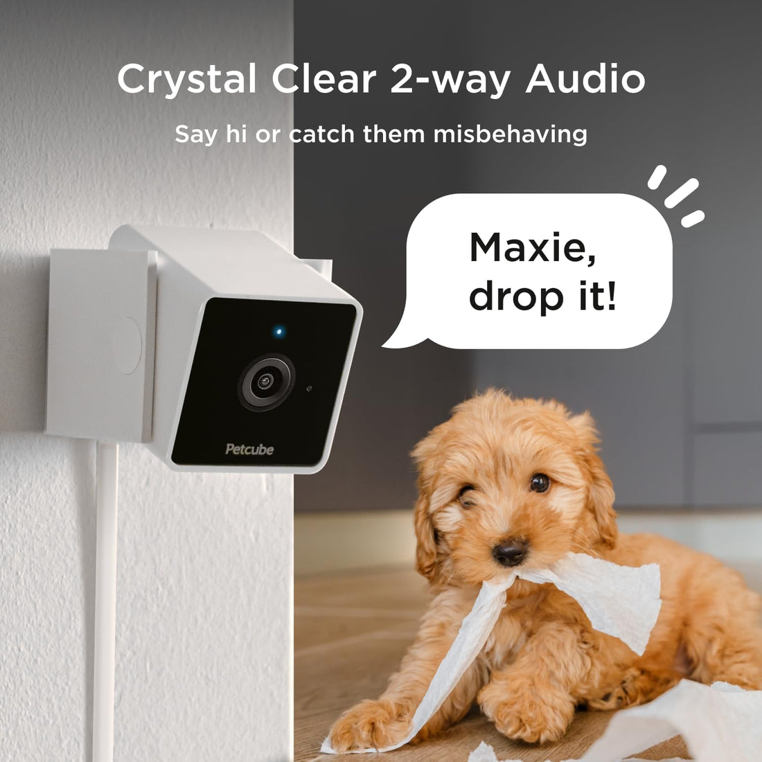 Petcube Cam | Indoor Wi-Fi Pet and Security Camera with Phone App
