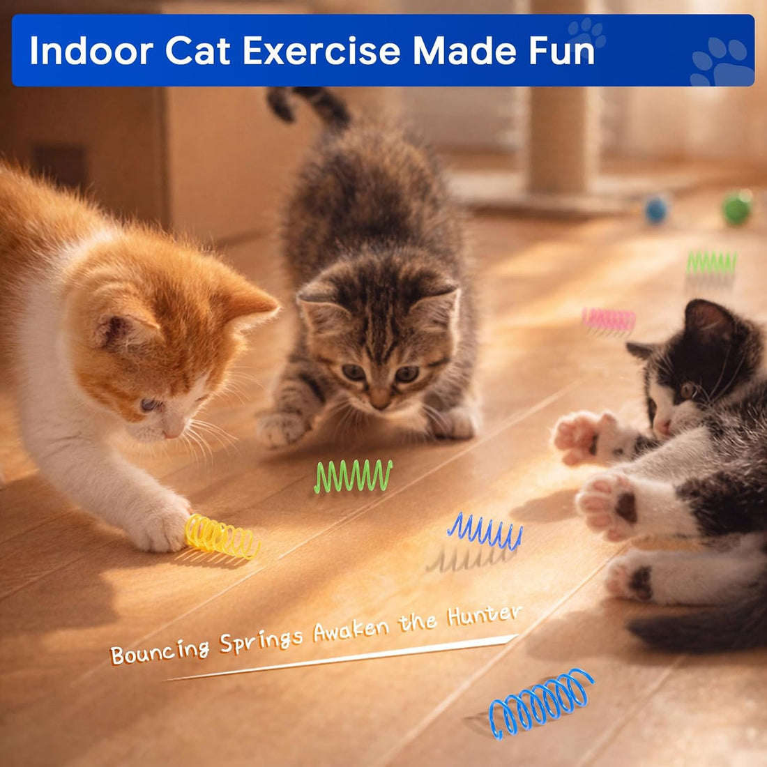 80 Pack Cat Spring Toys, Interactive Self Play for Indoor Cats