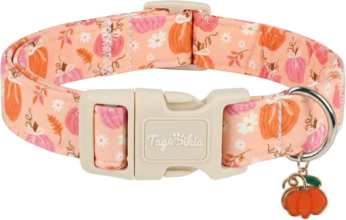 Dog Collar with Orange and Blue Plaid-M