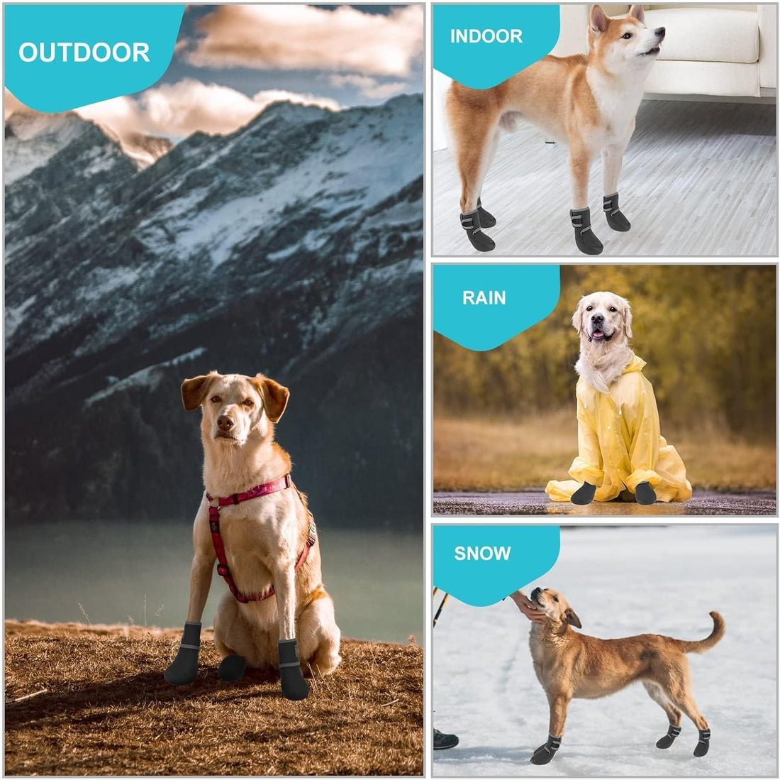 EXPAWLORER Waterproof Dog Shoes for Small Medium Large Dogs