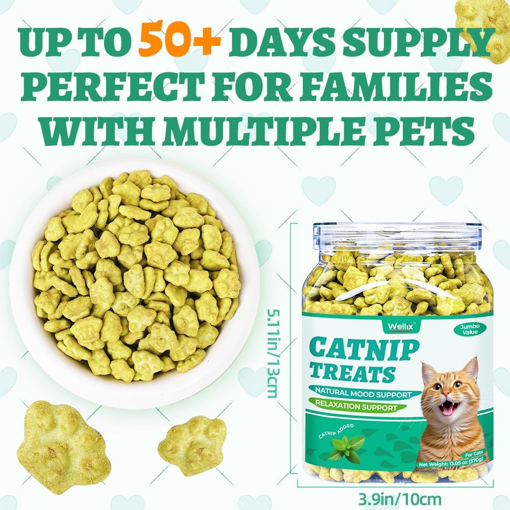 Wellix 13.05 oz Catnip Treats for Cats for Digestive Support