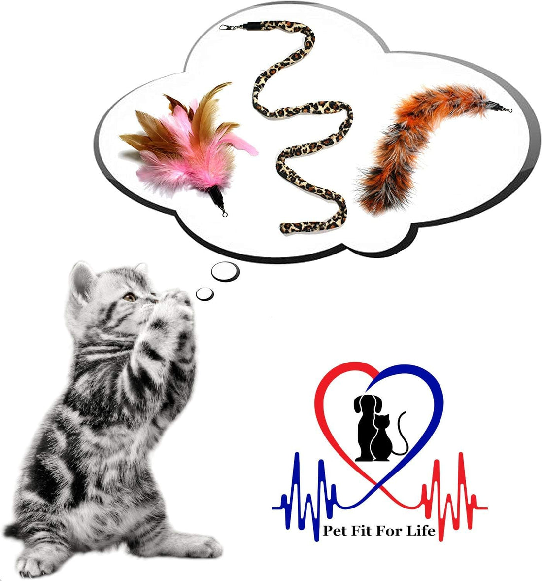 PET FIT for Life 3 Feather Dual Rod Wand CAT Toy