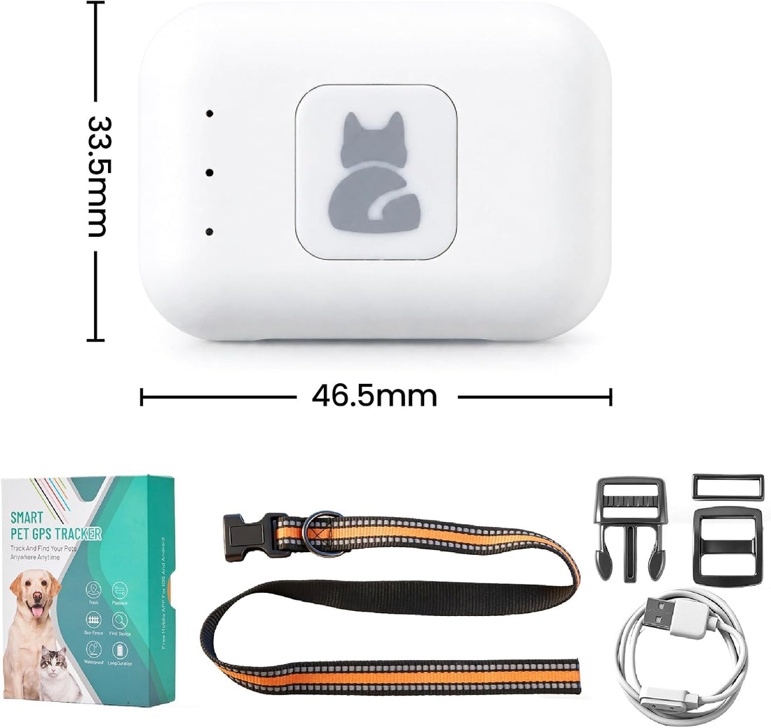 Dog Tracker GPS, Real Time Tracking & Virtual Fence 1-Year Service