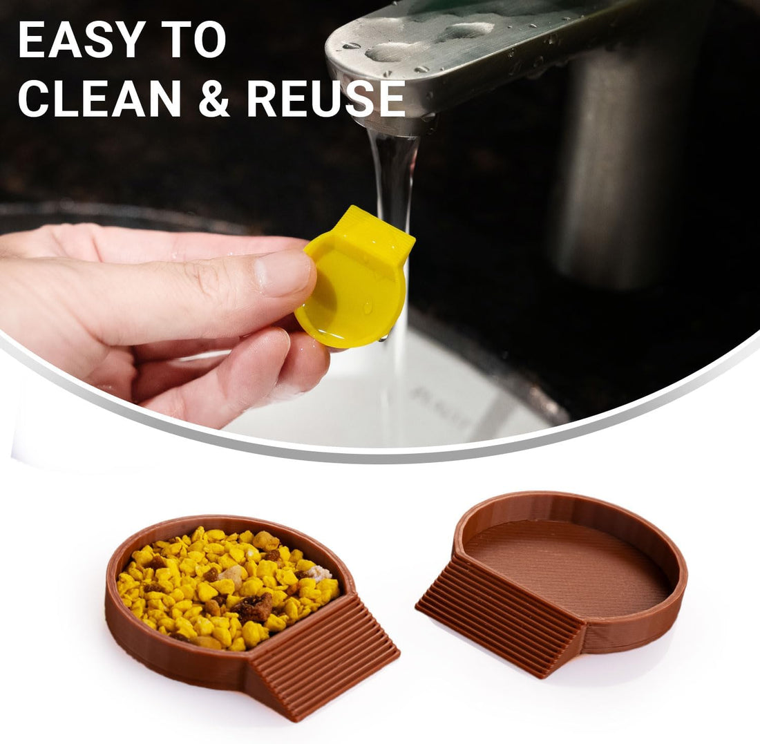 12-Pack Feeding Dish for Invertebrates