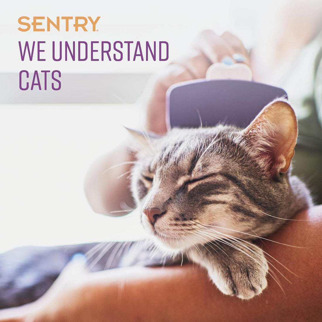 Sentry Calming Collar for Cats