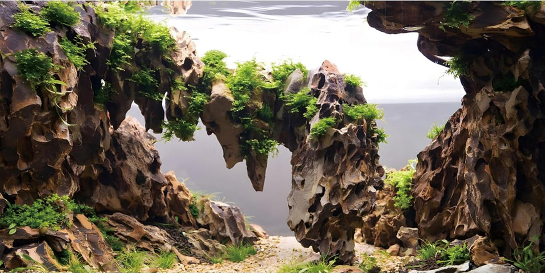 48x24 in Viewing Stone Aquarium Backdrop Riverbed Fish Tank Background