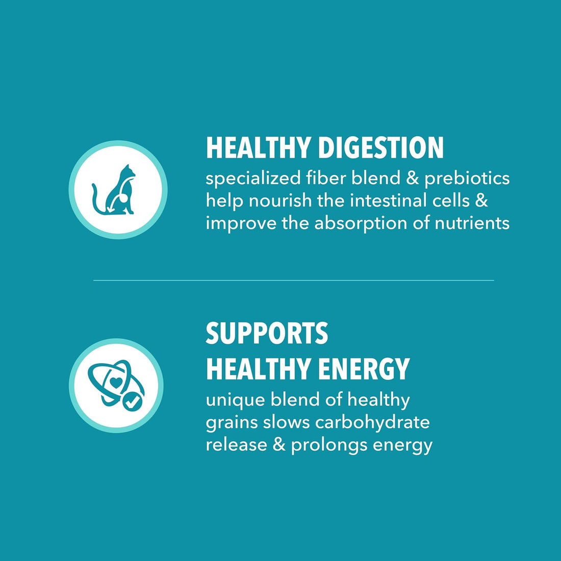 IAMS Proactive Health Dry Cat Food