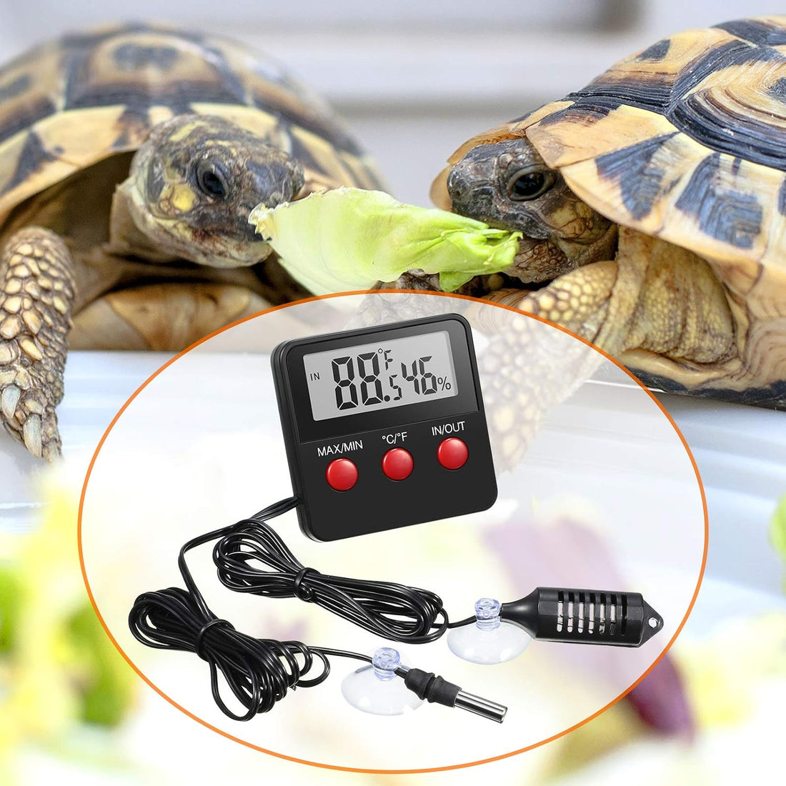 Weewooday 4 Pcs Digital Reptile Thermometer Hygrometer Gauge