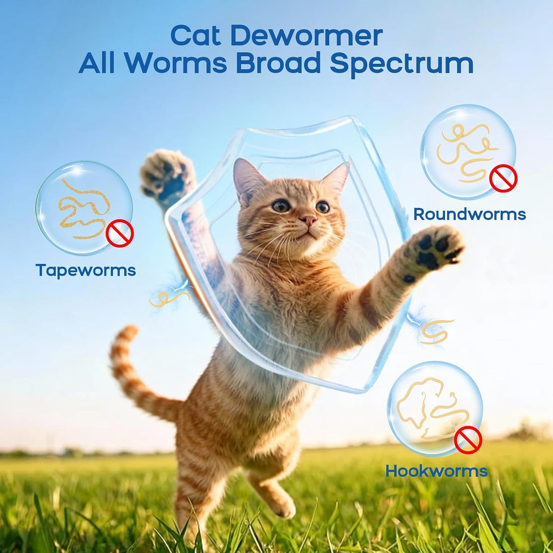 Dewormer for Cats and Kittens - Cat Dewormer All Worms Broad Spectrum
