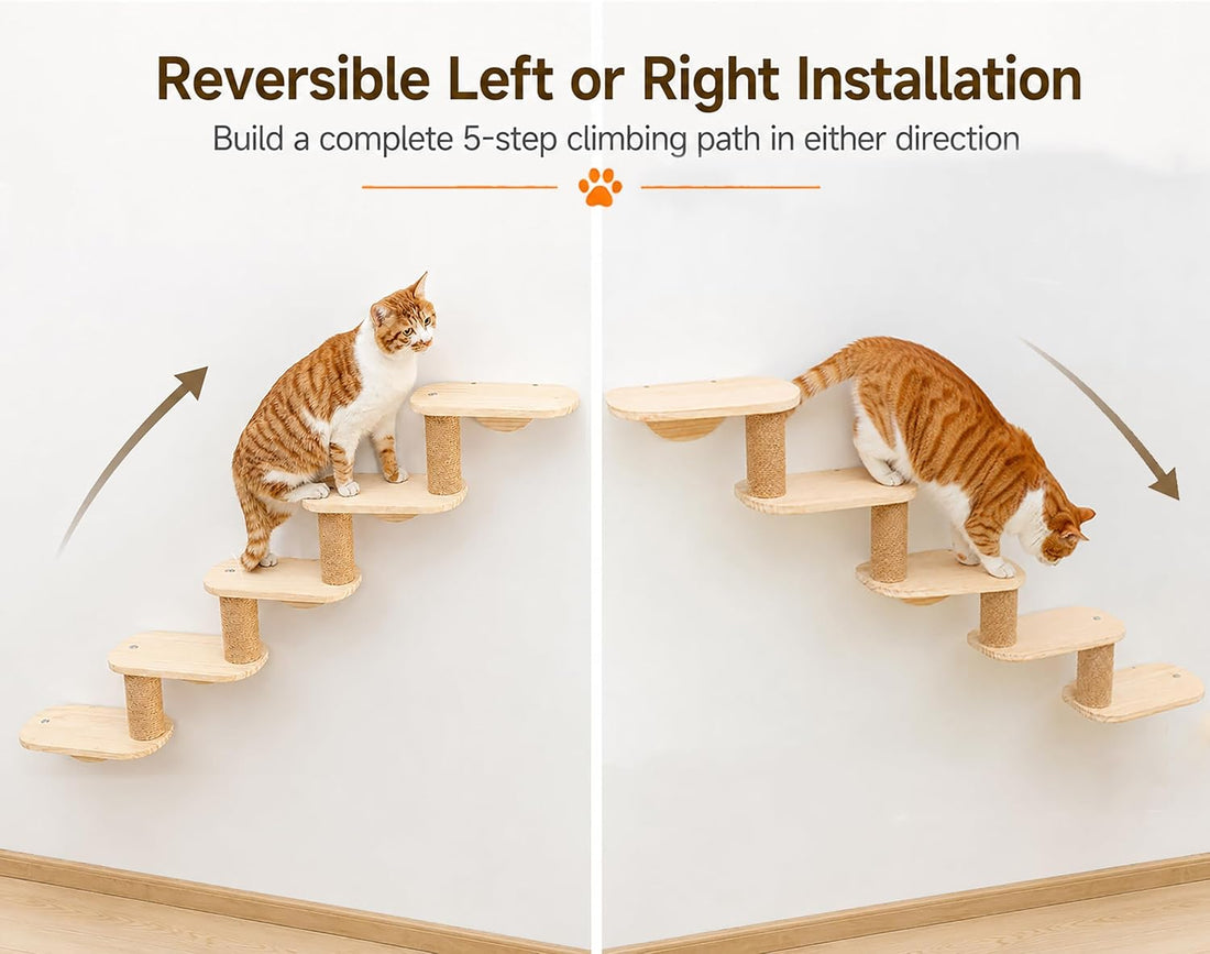 Cat Wall Shelves,5-Step Cat Stairs,Solid Pine Modular Wall Mount