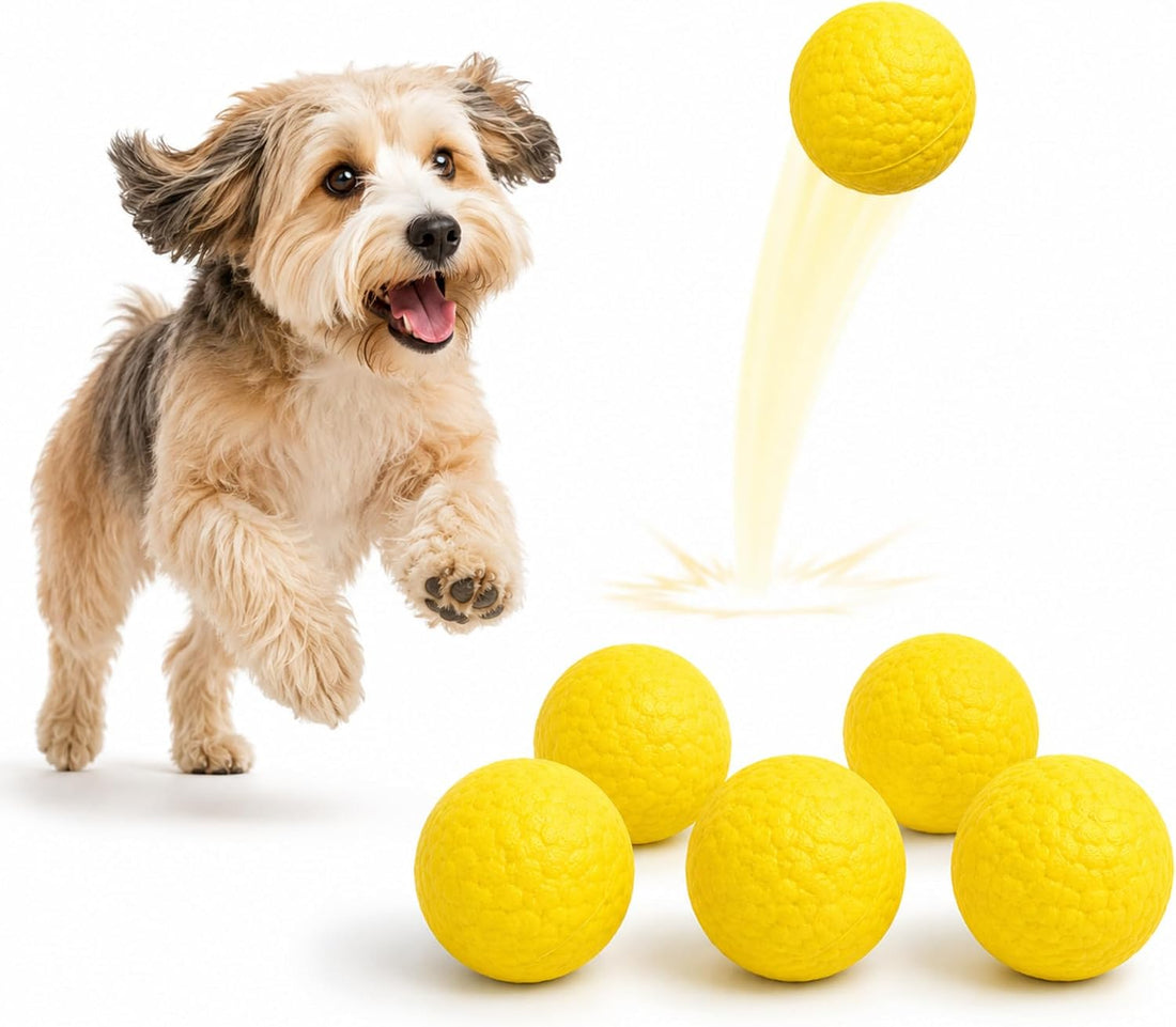 Automatic Dog Ball Launcher for Small Dogs, Interactive Fetch Toy