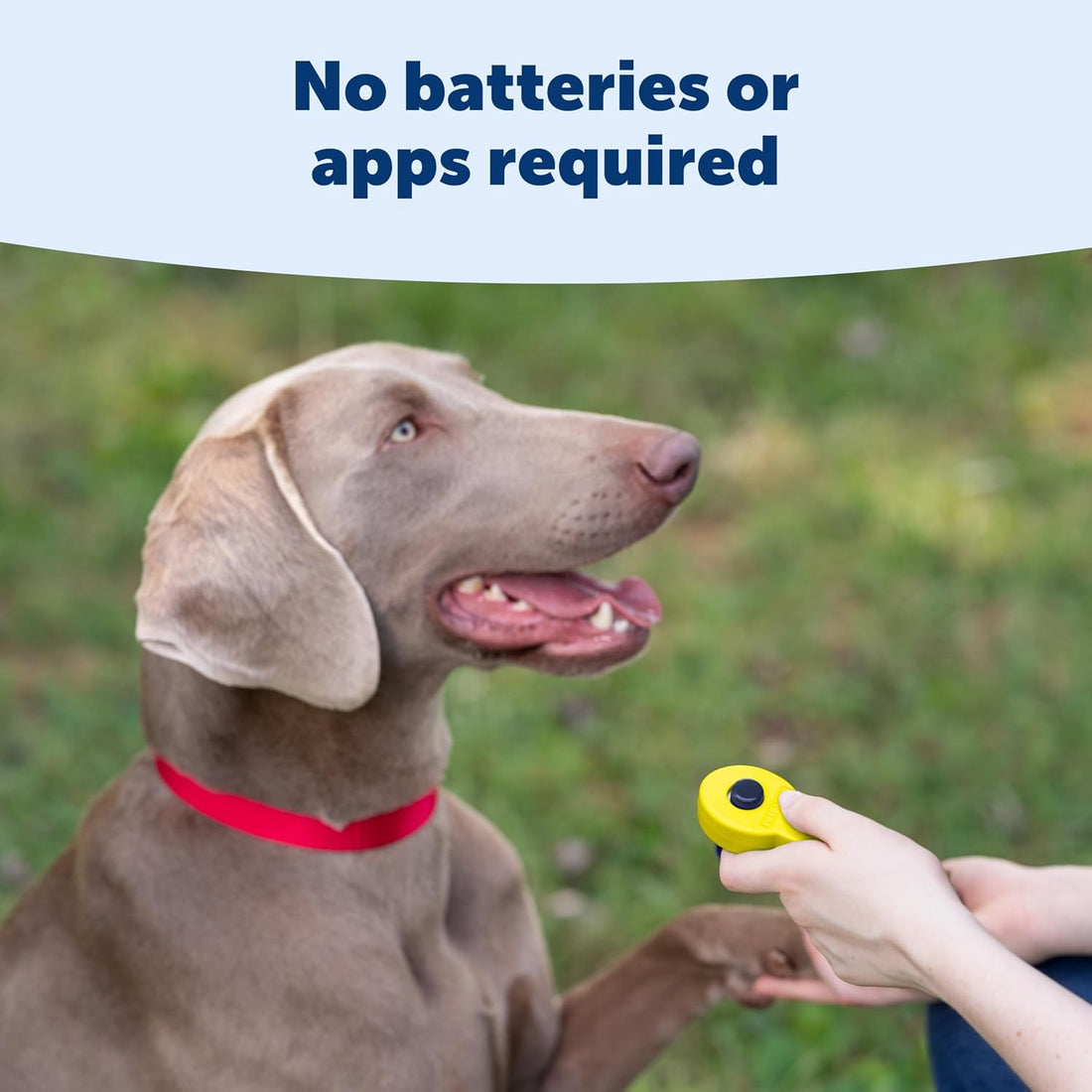 PetSafe Clik-R Dog Training Clicker