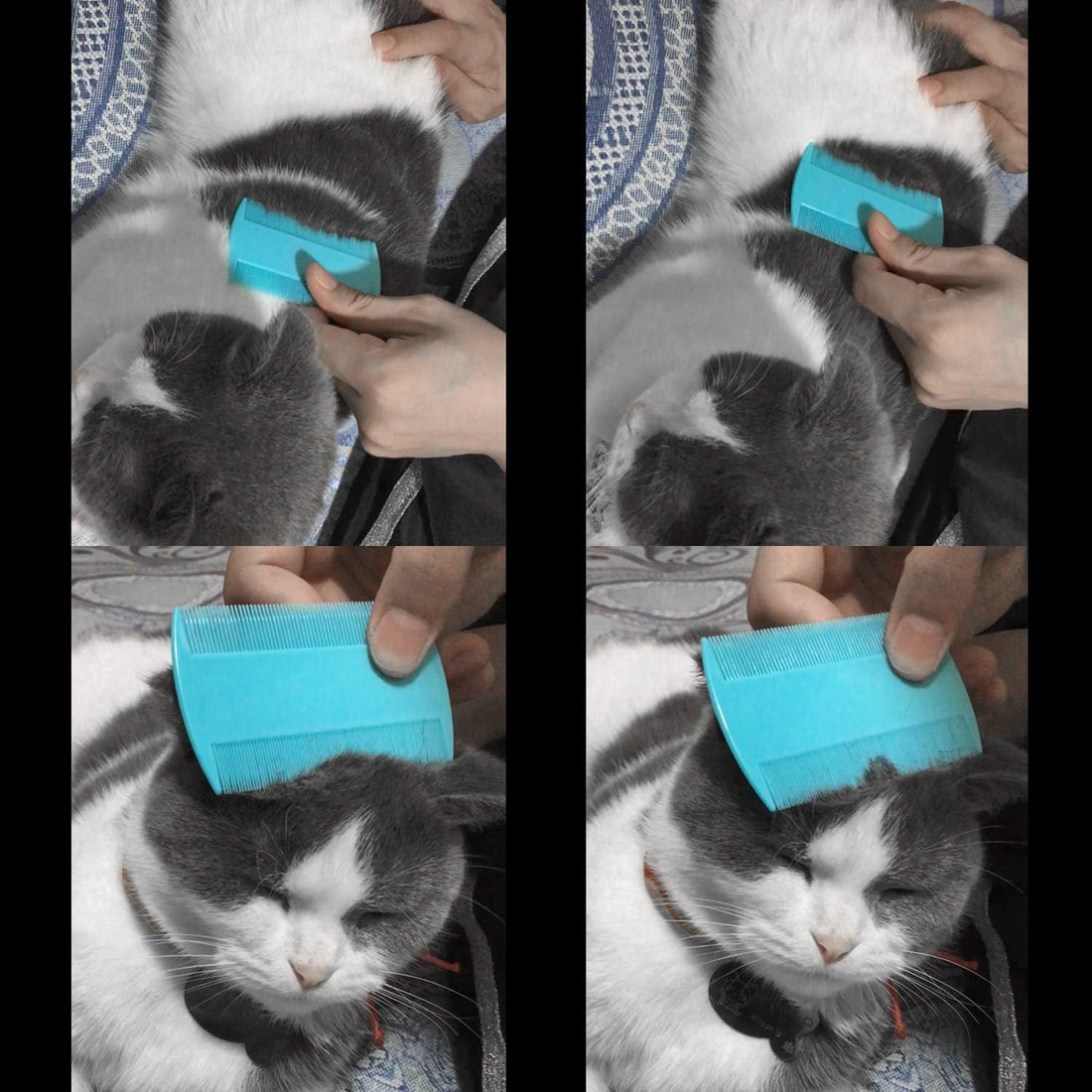 Flea Comb for Cats, 4 Pcs Lice Comb for Dogs