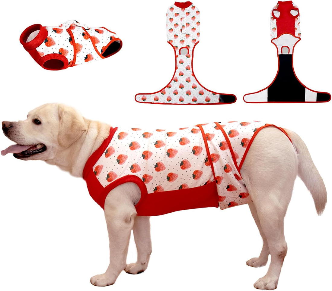 Recovery Suit for Dogs After Surgery