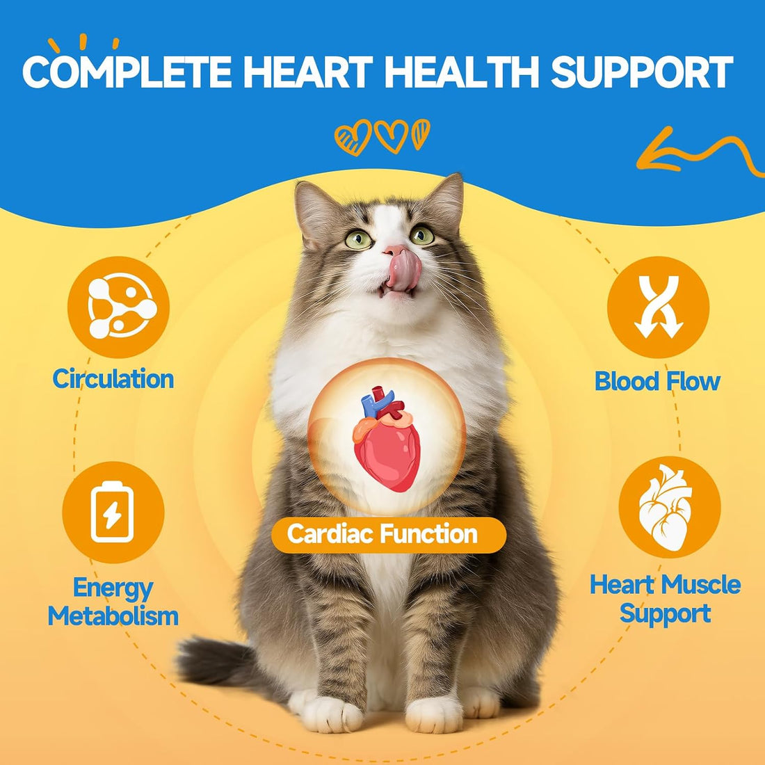 Taurine Drops for Cats, 200 mg per Serving, Roast Chicken Flavor