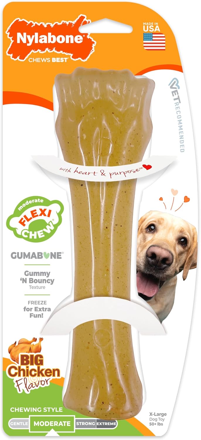 Nylabone Flexi Chew Gumabone Dog Chew Toy, Chicken Flavor