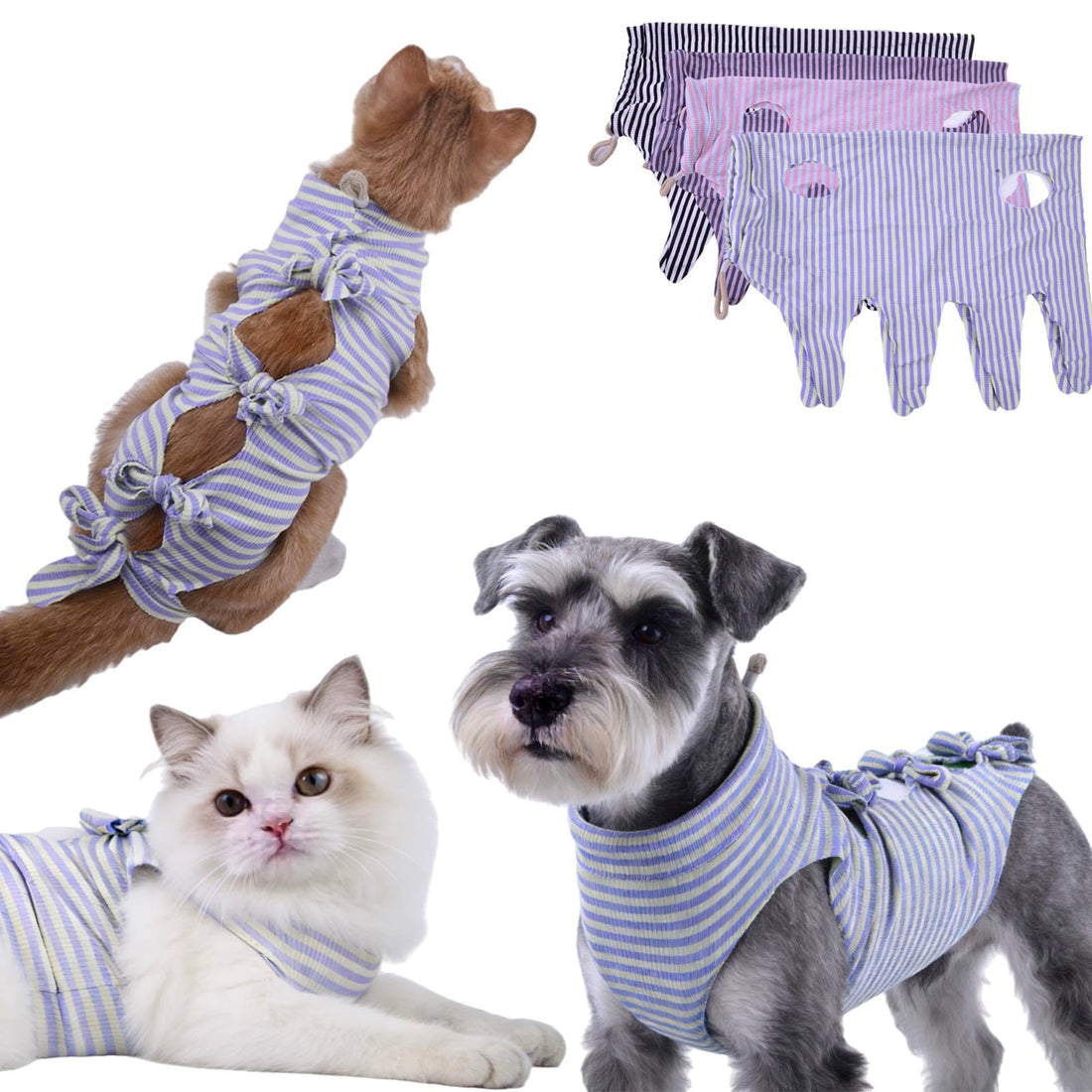4 pcs Cat Surgery Recovery Suit