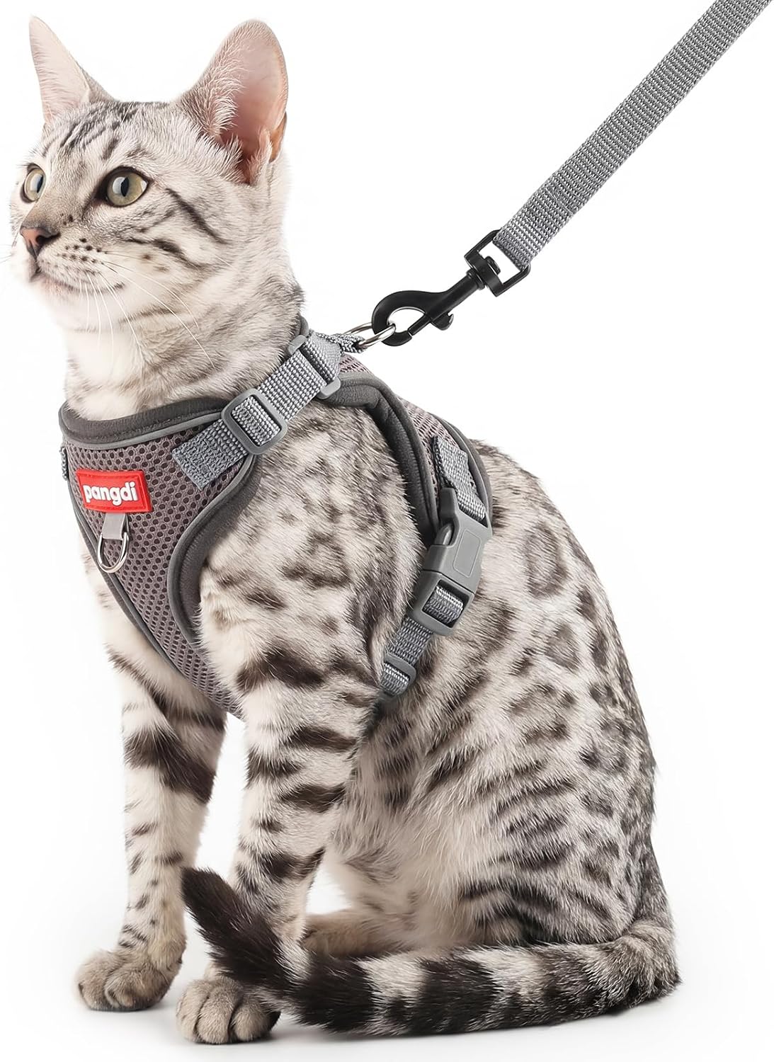 Cat Harness and Leash Set, Lightweight Air-Mesh Cat Vest, Black, XL
