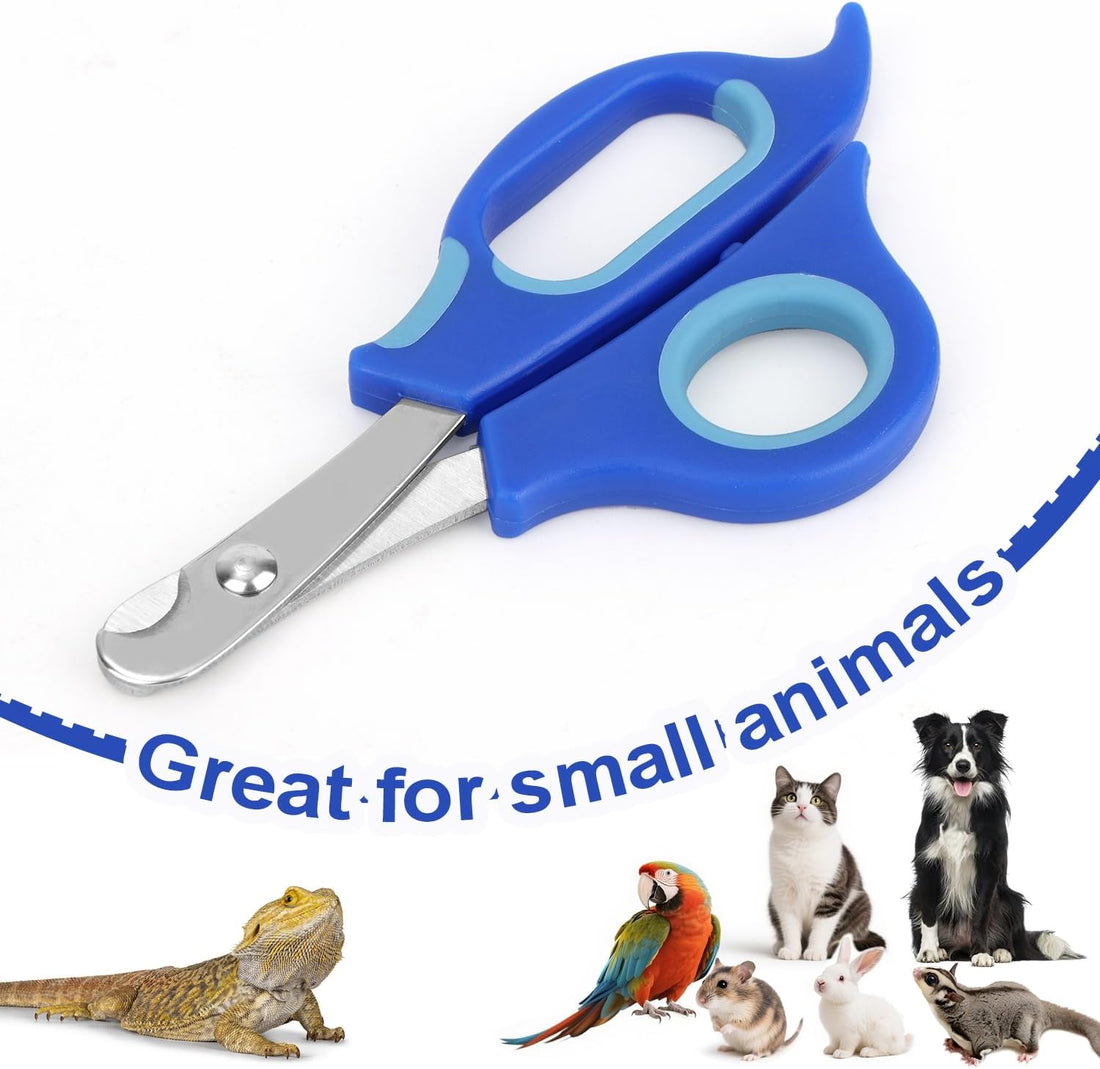 Bearded Dragon Nail Clippers and File
