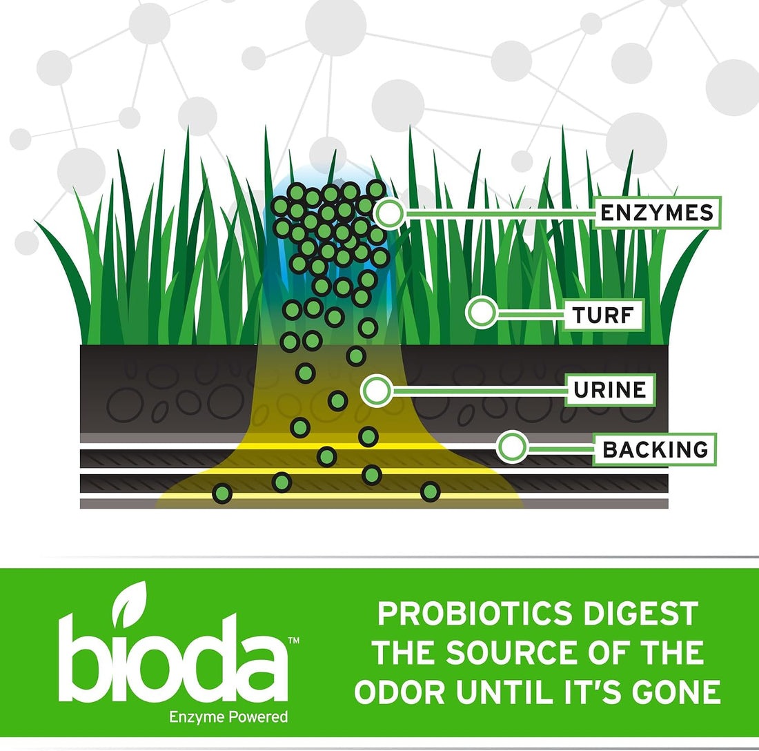 Bioda Probiotic Natural Outdoor Odor Eliminator, 1 gal Refill, Enzyme