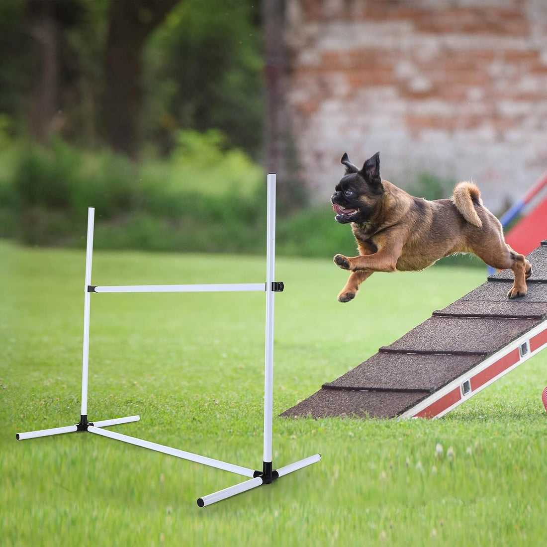 Shappy 4 Pcs Dog Agility Jumps Adjustable Height Hurdles with Bag