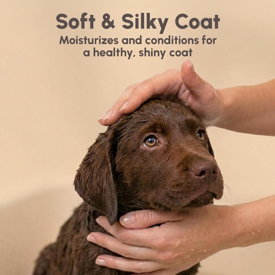 Best Shot Scentament Spa Calming Conditioner