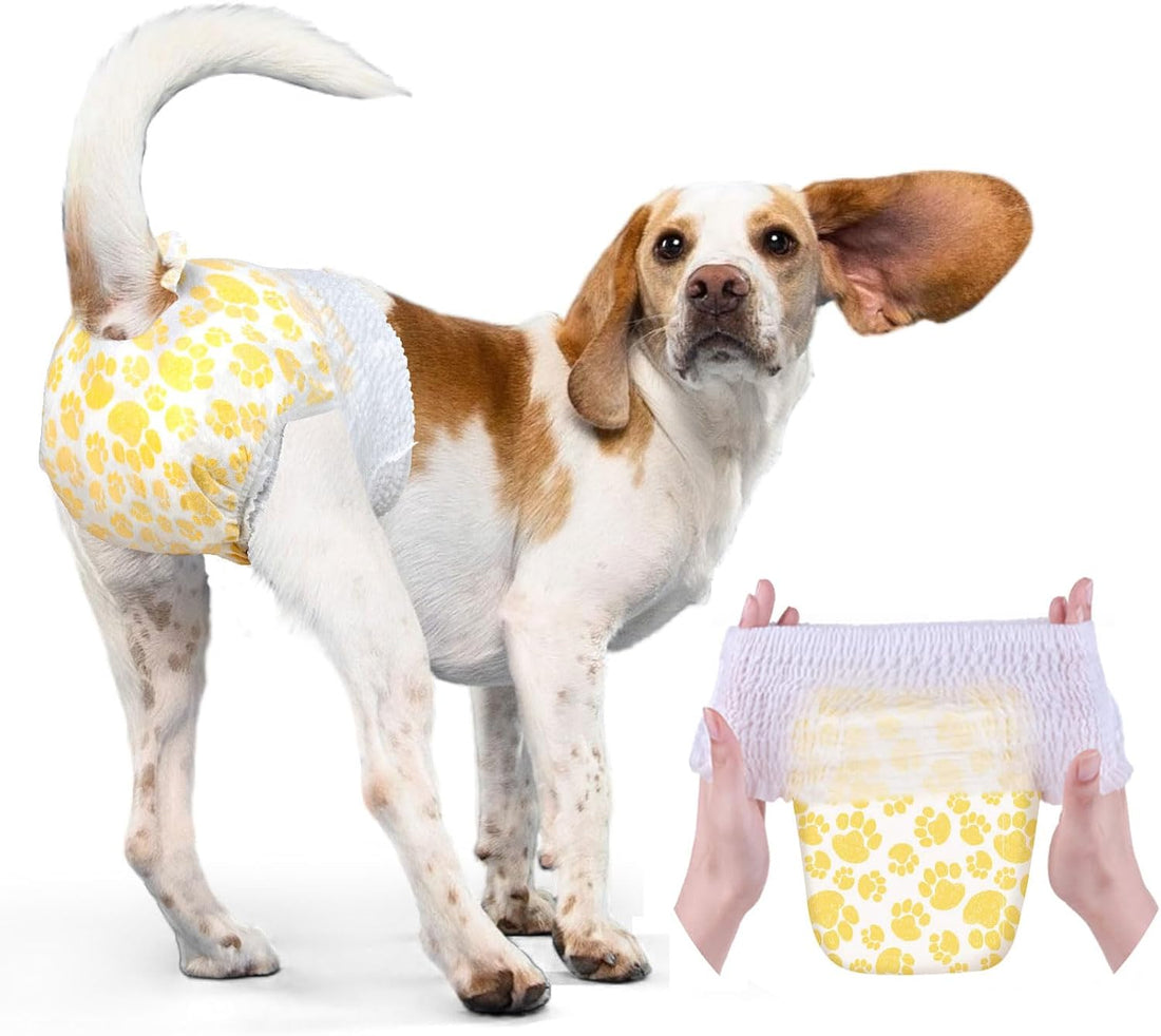 Dono Disposable Pull Up Dog Diapers Female