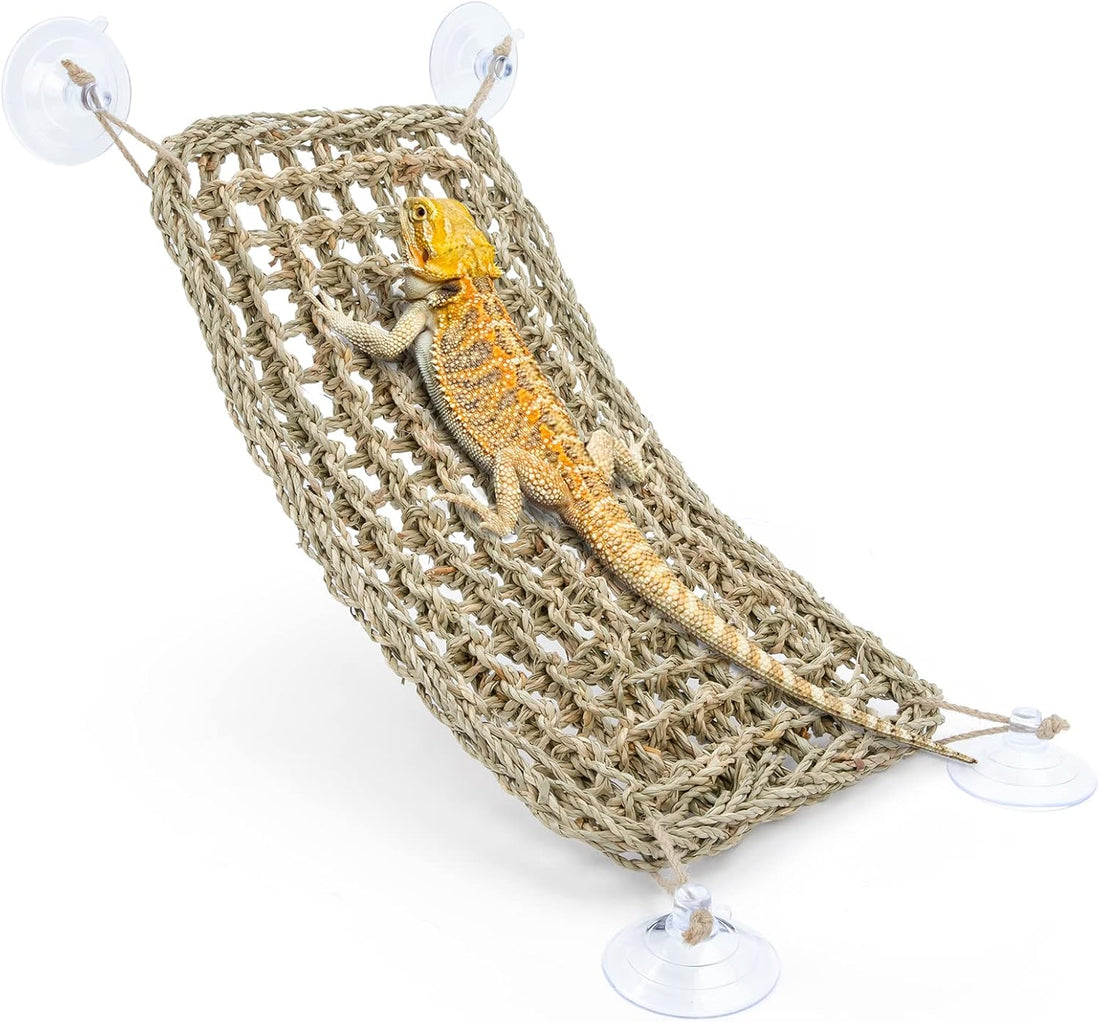 Niteangel Bearded Dragon Seagrass Hammock: Triangle 17'' x 12.5''