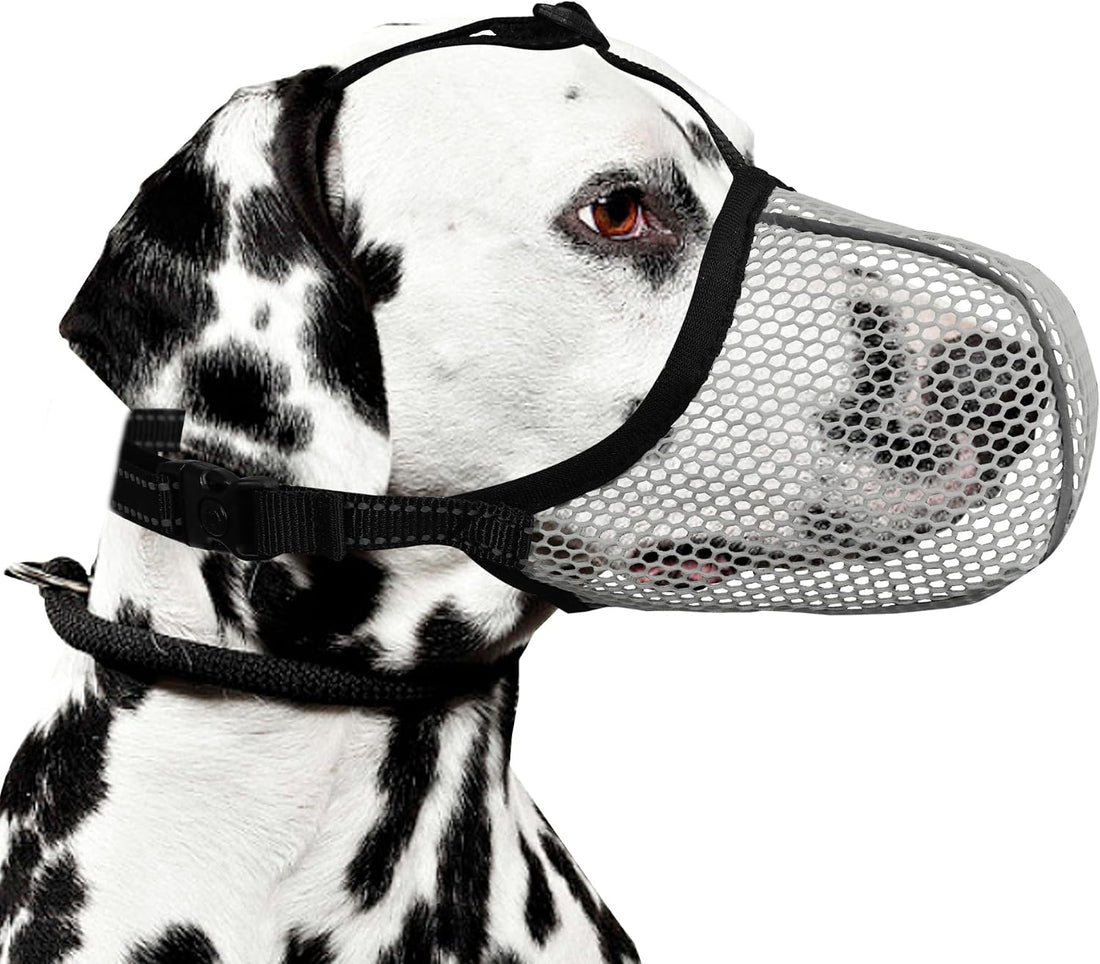 Dog Basket Muzzle to Anti Prevent Barking Biting Chewing Scavenging