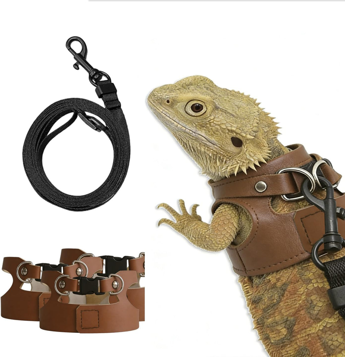 Bearded Dragon Harness & Leash Set, Escape-Proof, 3 Pack (S/M/L),Black