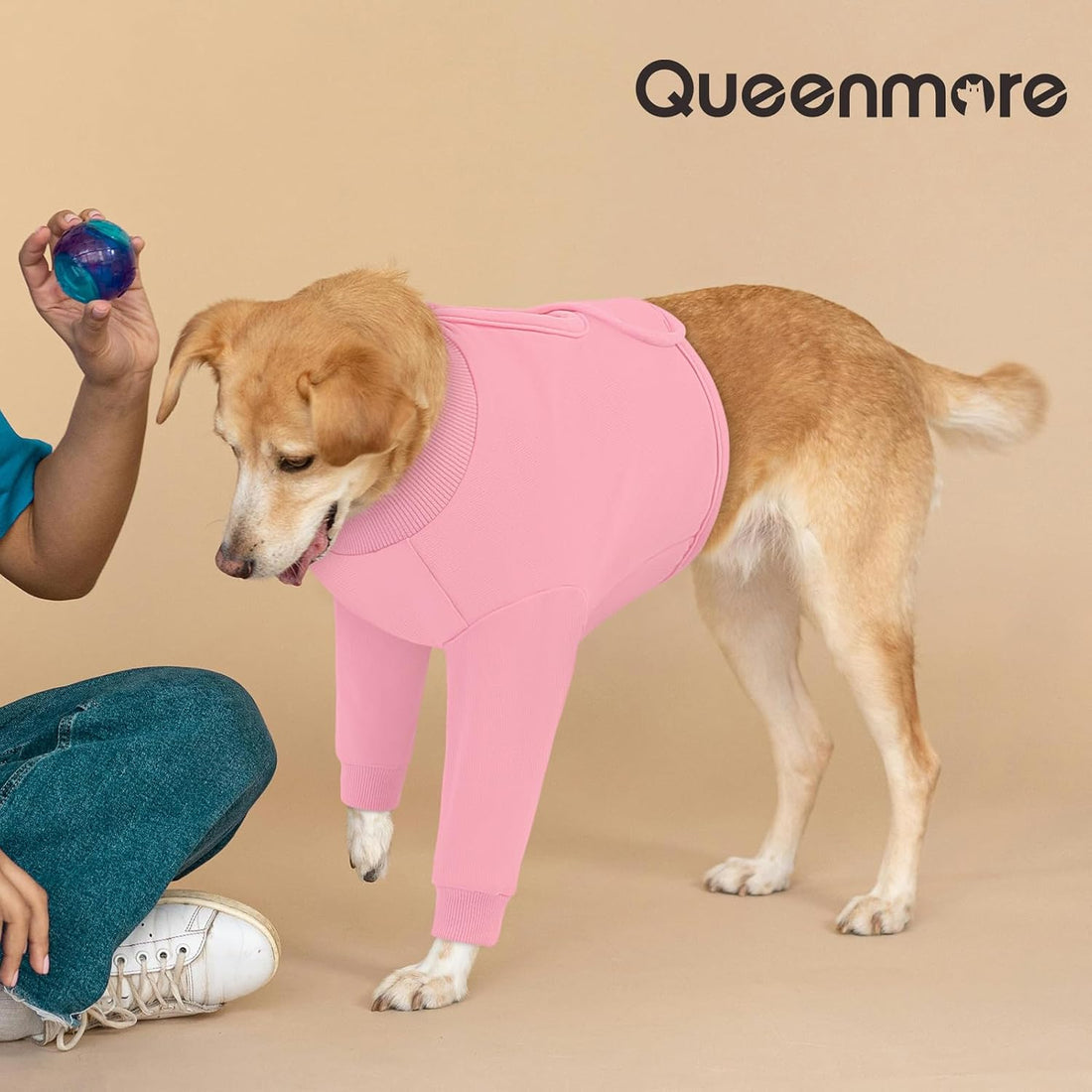 Queenmore Recovery Sleeve for Dogs Front Leg