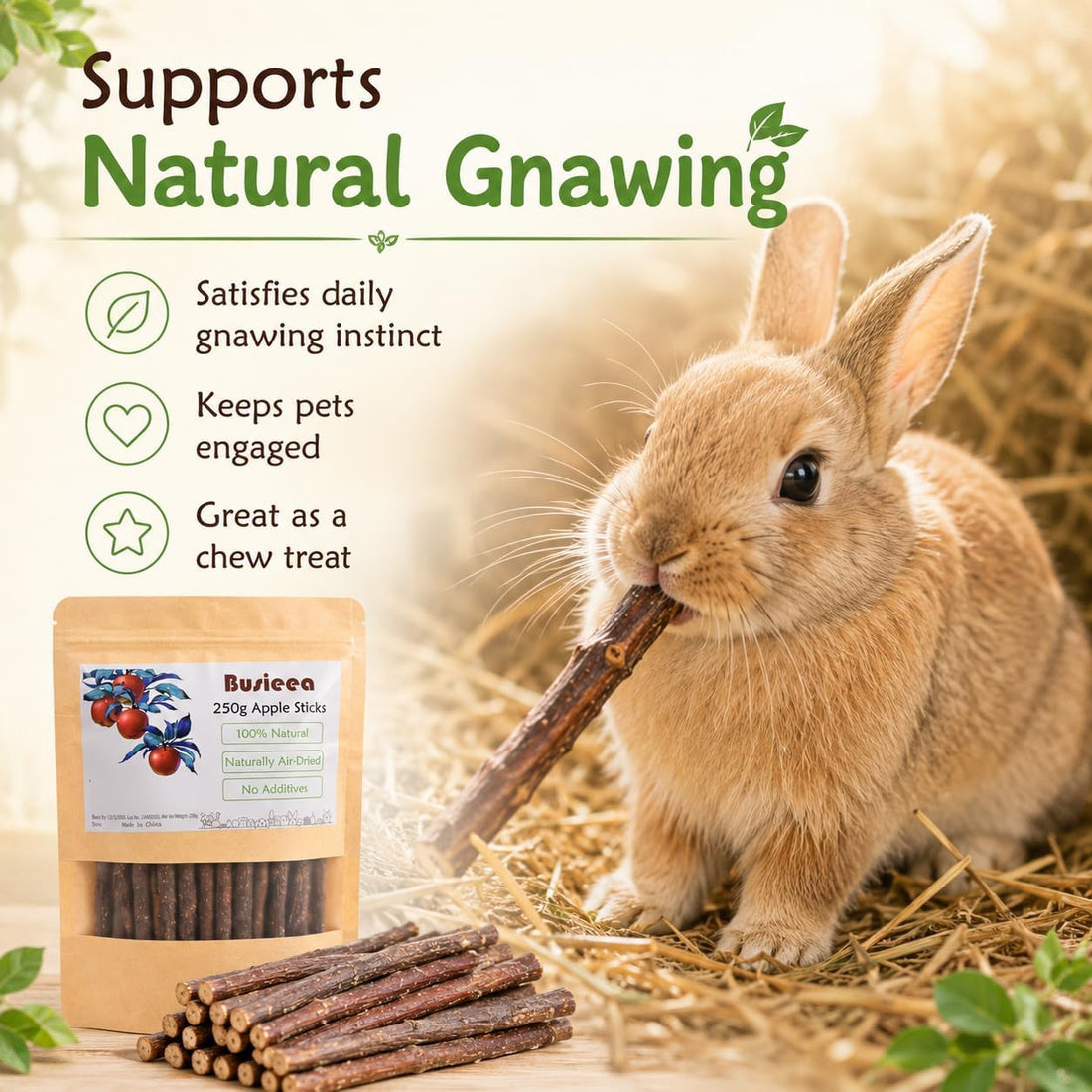 Apple Chew Sticks 100g Mini Molar Toys for Small Pets
