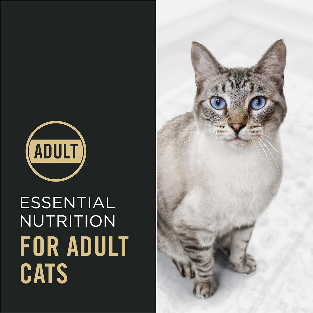 Purina Pro Plan High Protein Cat Food With Probiotics for Cats