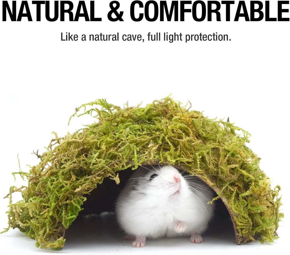 Hamster Hideout - Large, Natural Moss, Handcrafted for Syrian Hamsters