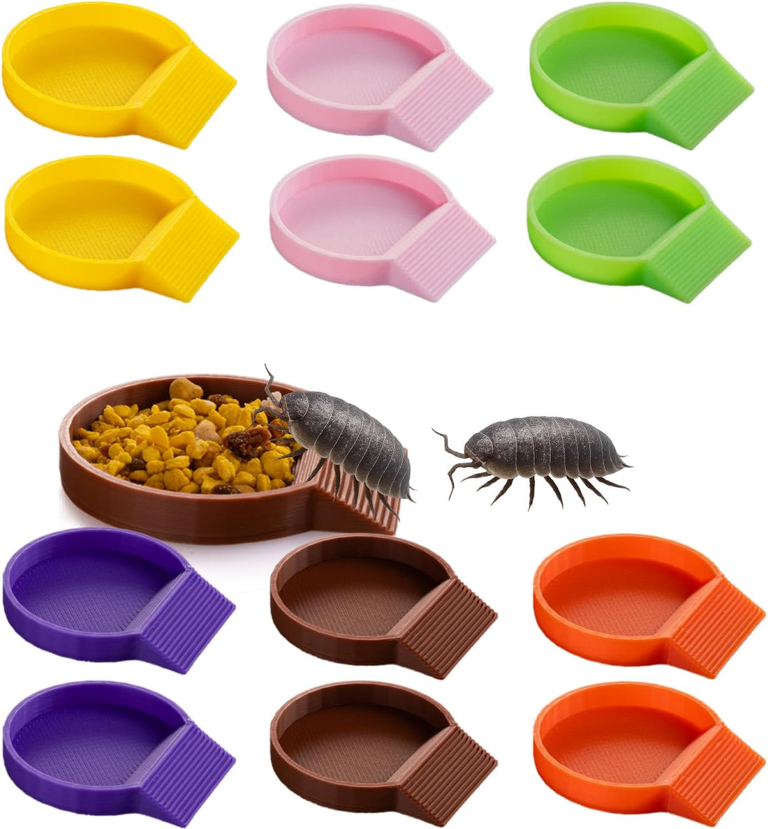 12-Pack Feeding Dish for Invertebrates