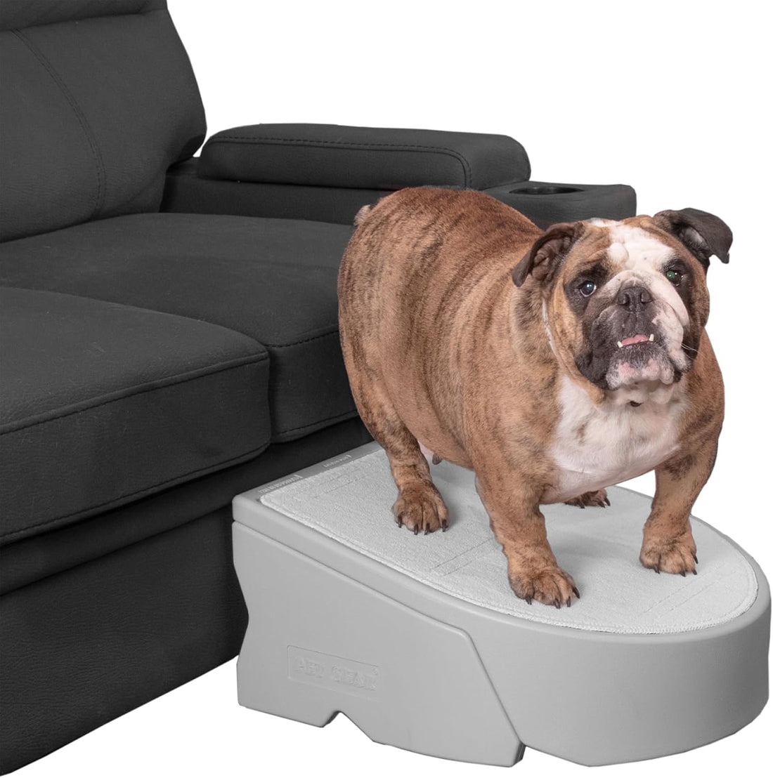Pet Gear Stramp Stair and Ramp Combination for Dogs/Cats, Easy Step