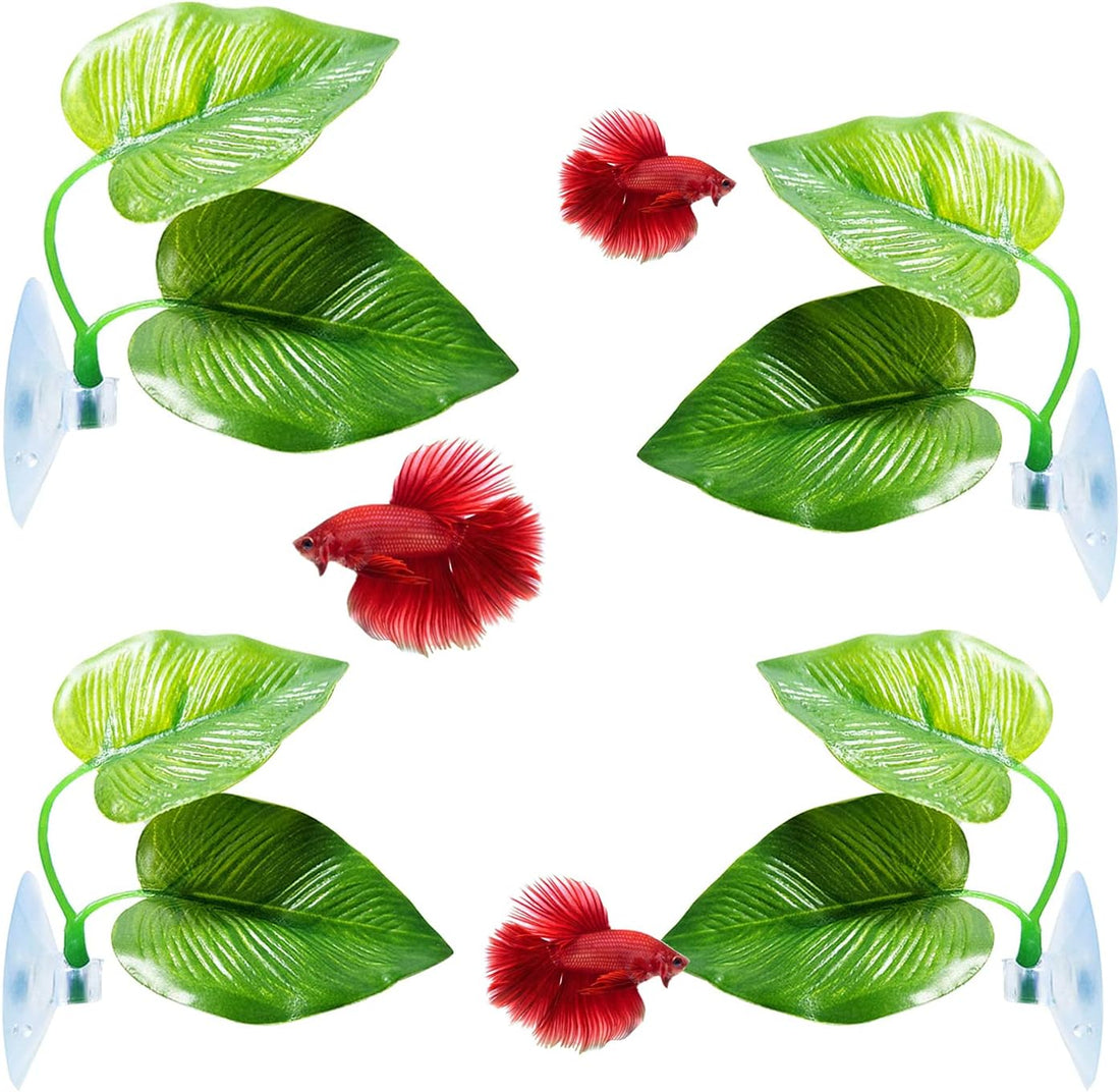 CousDUoBe 2 Pack Betta Fish Leaf Pad Improves Betta's Health by