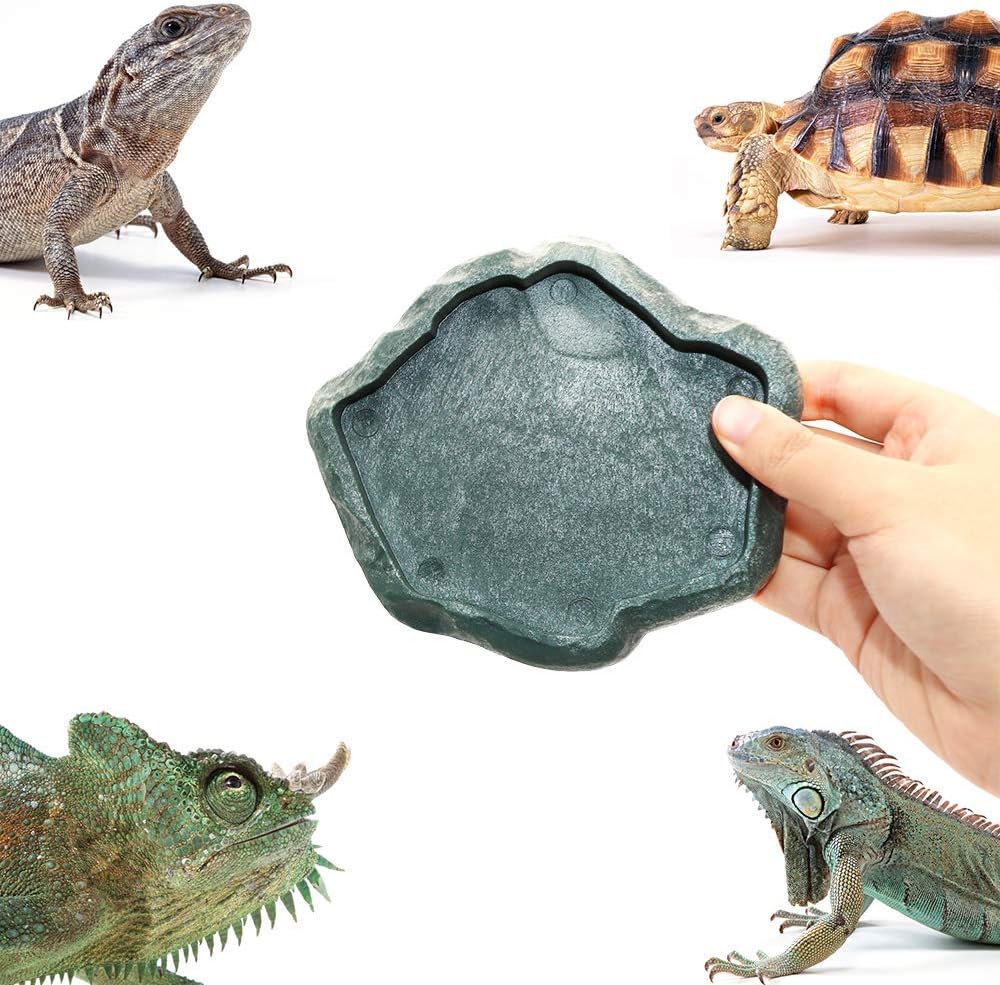 SLSON Small Reptile Feeder Terraium Bowl Plastic Shallow Reptile