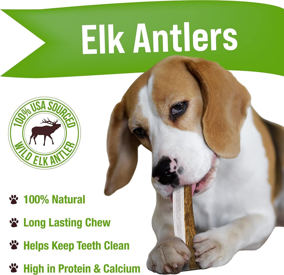 Buck Bone Organics Dog Chews, Antlers for Dogs, Premium Natural Elk