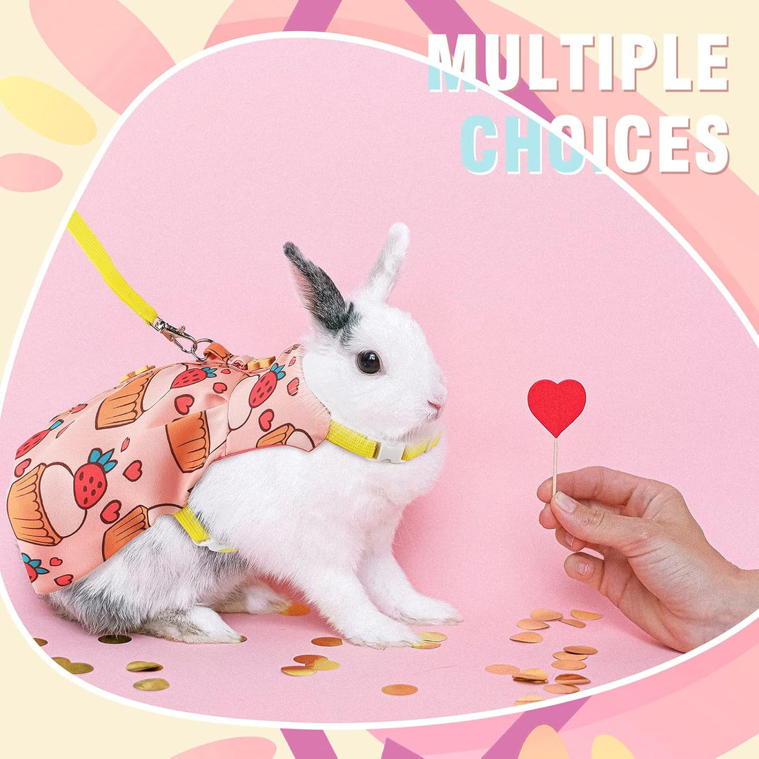 3 Sets Rabbit Bunny Harness and Leash Gift, Cake, Animal, Pineapple