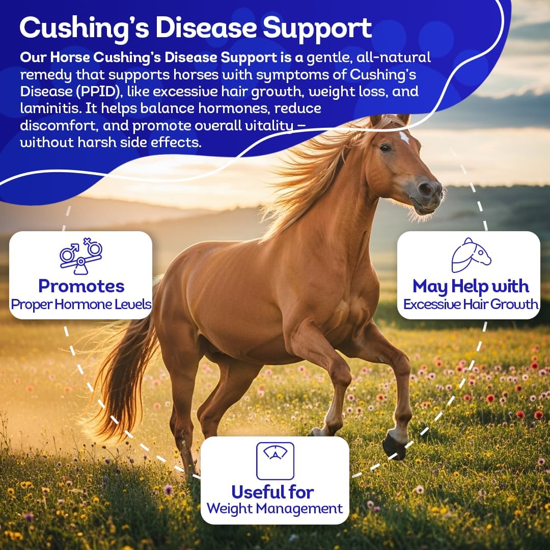 HA4E - Horse Digestive Support for Cushing’s Disease