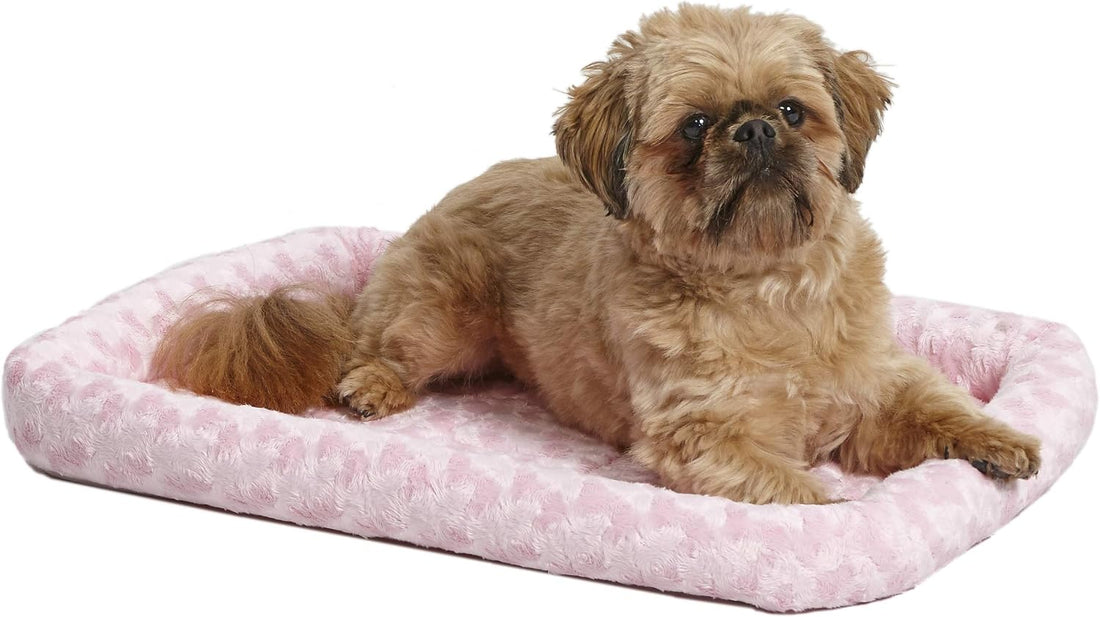 MidWest Homes for Pets Pink Fashion iCrate Starter Kit