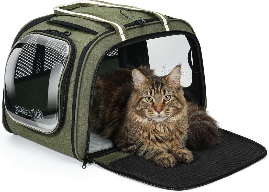 Pecute Cat Carrier,Double Bubble Pet Carrier for Cat Small