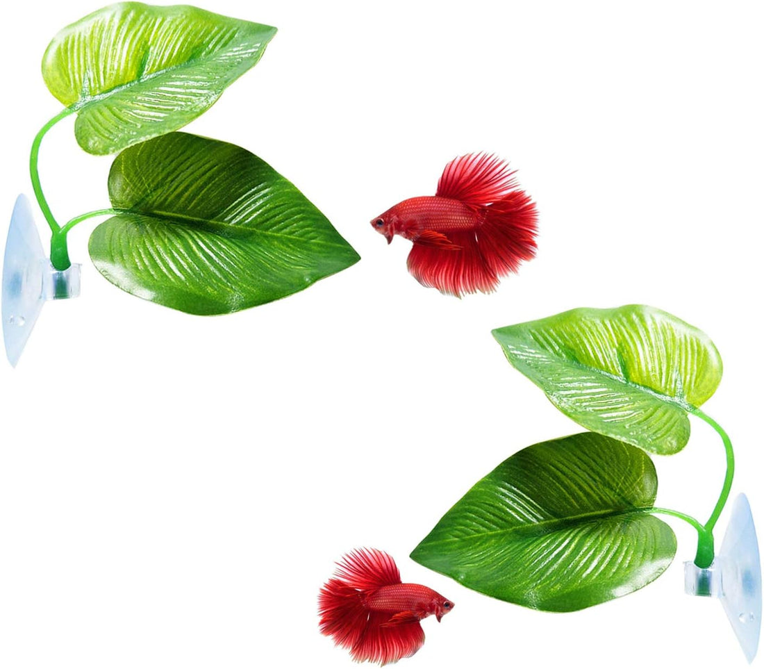 CousDUoBe 2 Pack Betta Fish Leaf Pad Improves Betta's Health by