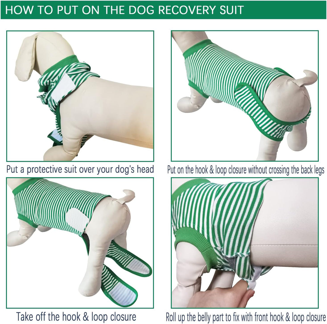 Dog Recovery Suit, Surgical Recovery Suit for Male Female Dogs Cats