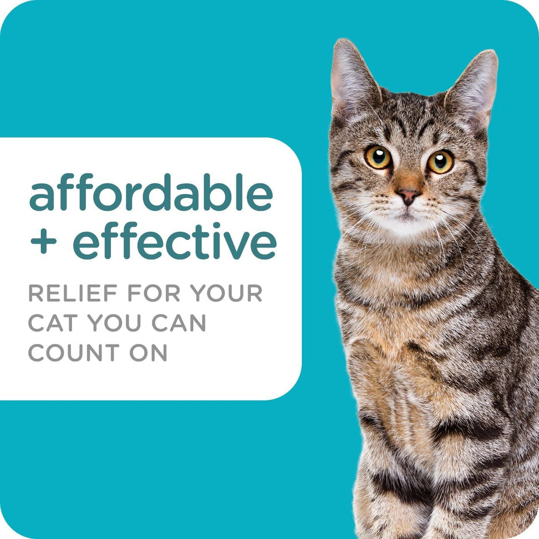 Sergeant's Guardian PRO Flea & Tick Topical Cats 6 lbs+, 3-Month