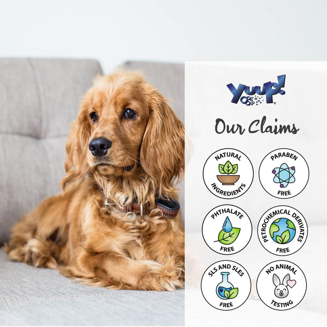 YUUP! Detangling Spray for Dogs & Cats, Bamboo & Flaxseed