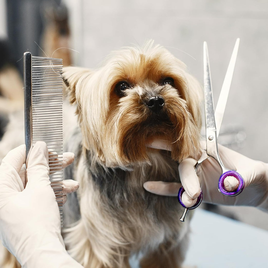 12 PCS Scissors Finger Rings Soft Silicone Scissors for Pet Grooming