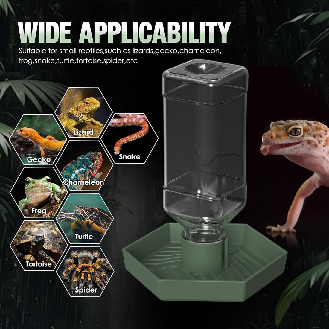 Reptile Water Dispenser Bowl for Bearded Dragon Tortoise