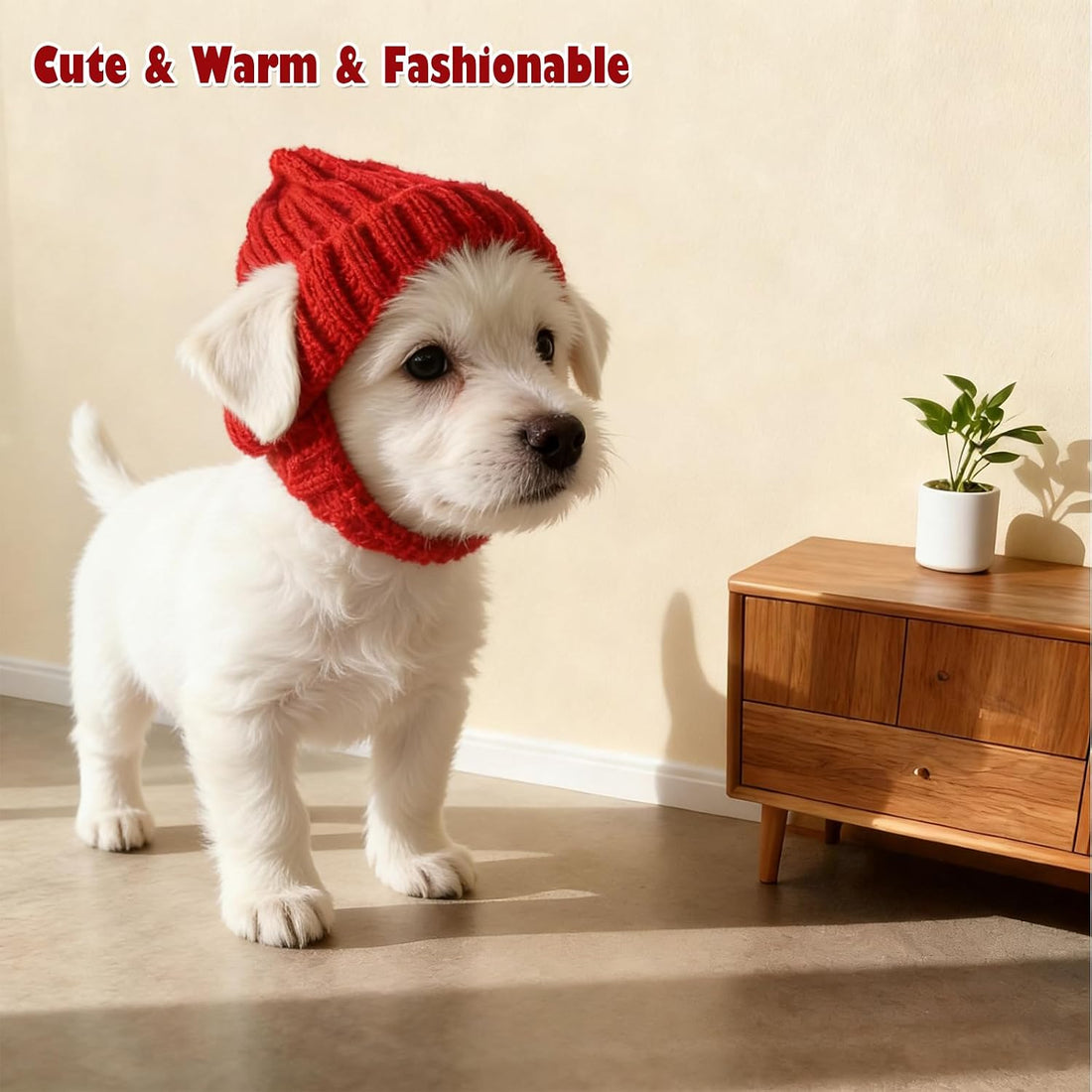 Warm Dog Knitted Hat with Ear Hole, Winter Pet Cap